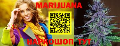 МДПВ Новодвинск