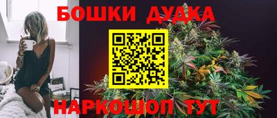 МДПВ Новодвинск