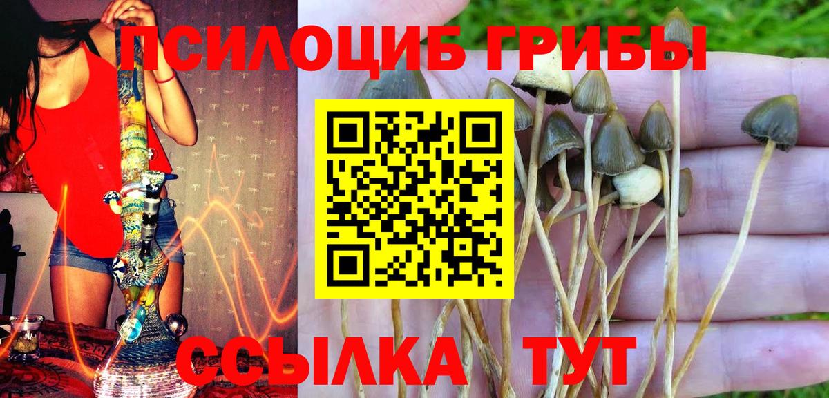 Галлюциногенные грибы мицелий  Вход с VPN  Севастополь 